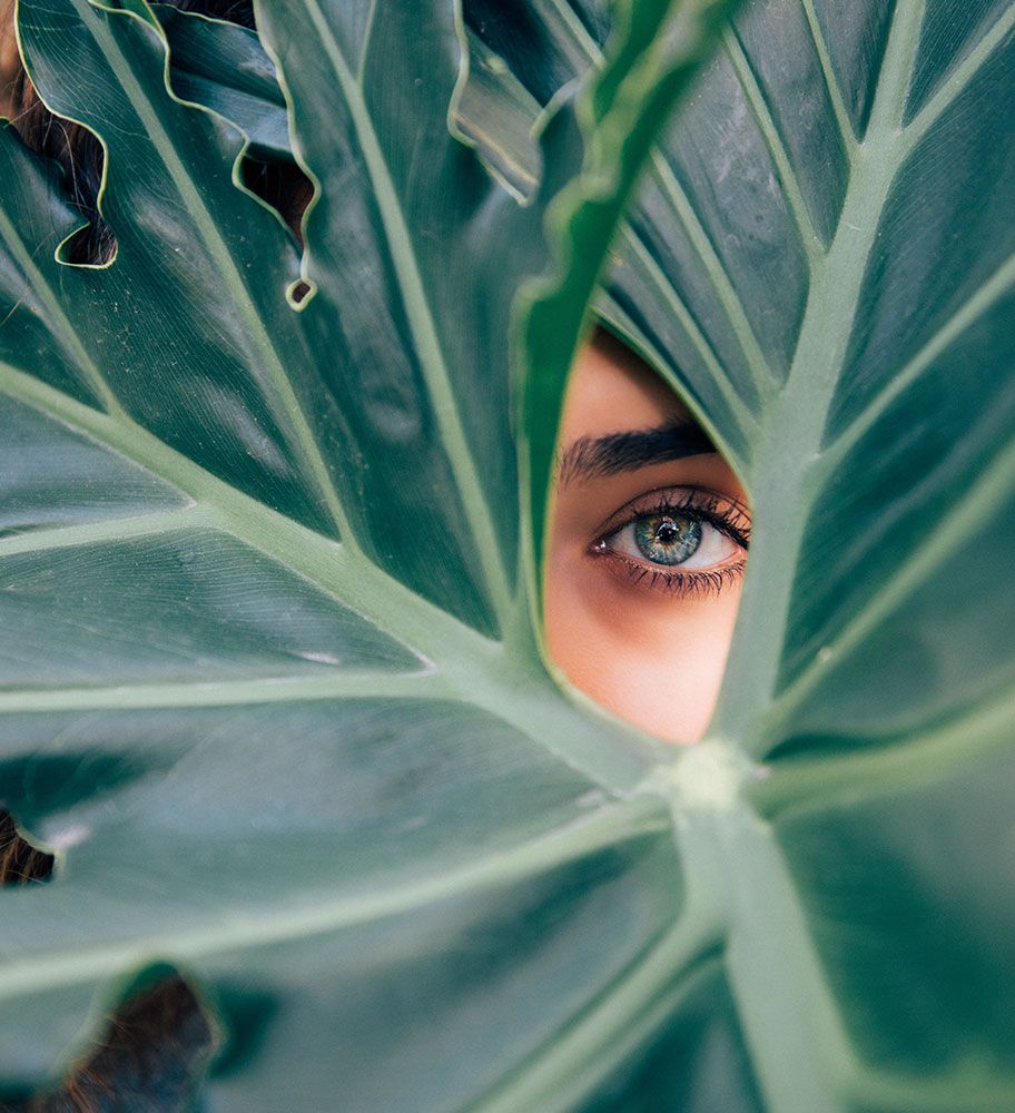 Schönheit ist überall ein gern gesehener Gast